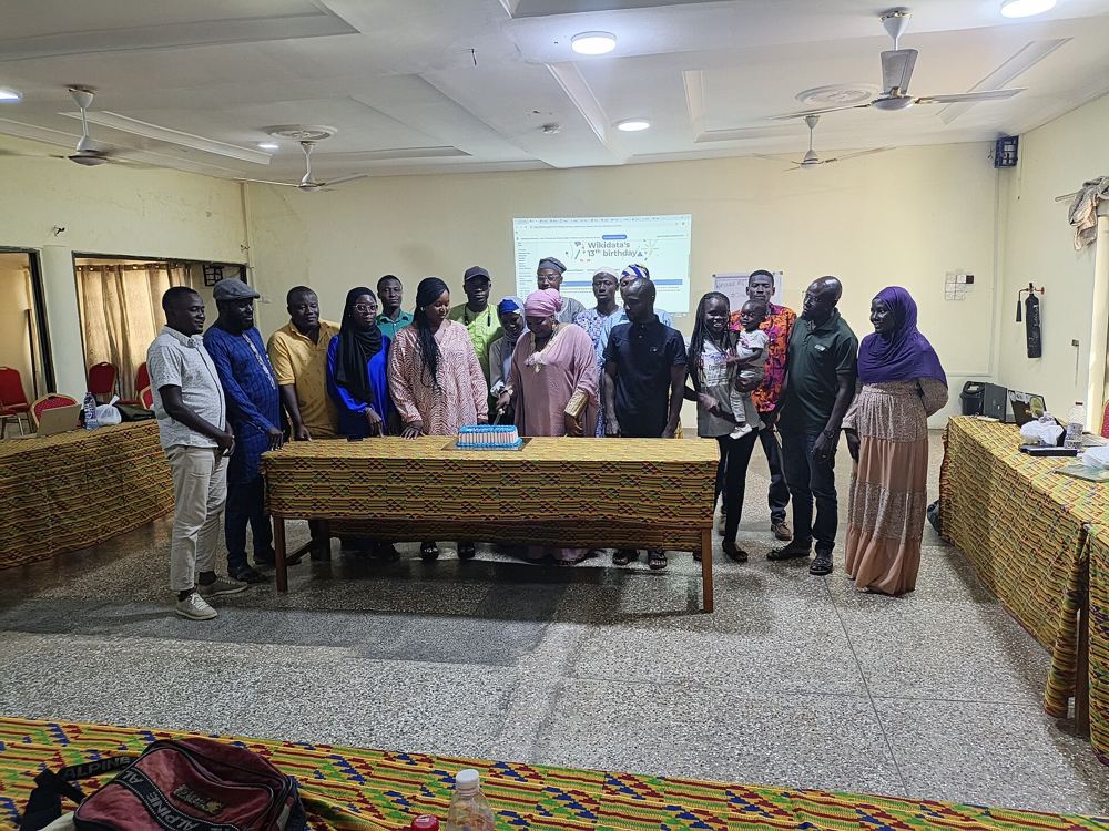 Participants gathered at a workshop in a Ghanaian conference room